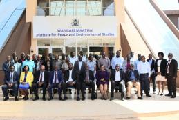 Curriculum transformation work funded by Qatar university 